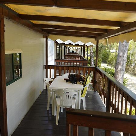 Chalet 4 Or 6 Persons Toscana Viareggio Camping Bosco Verde Italie Torre del Lago Puccini Exterior photo