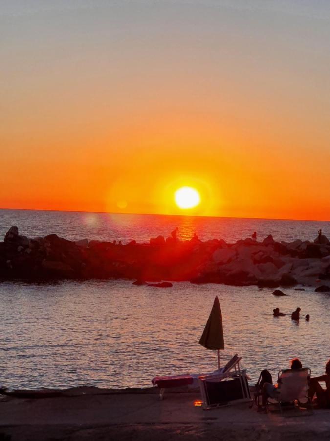 Chalet 4 Or 6 Persons Toscana Viareggio Camping Bosco Verde Italie Torre del Lago Puccini Exterior photo