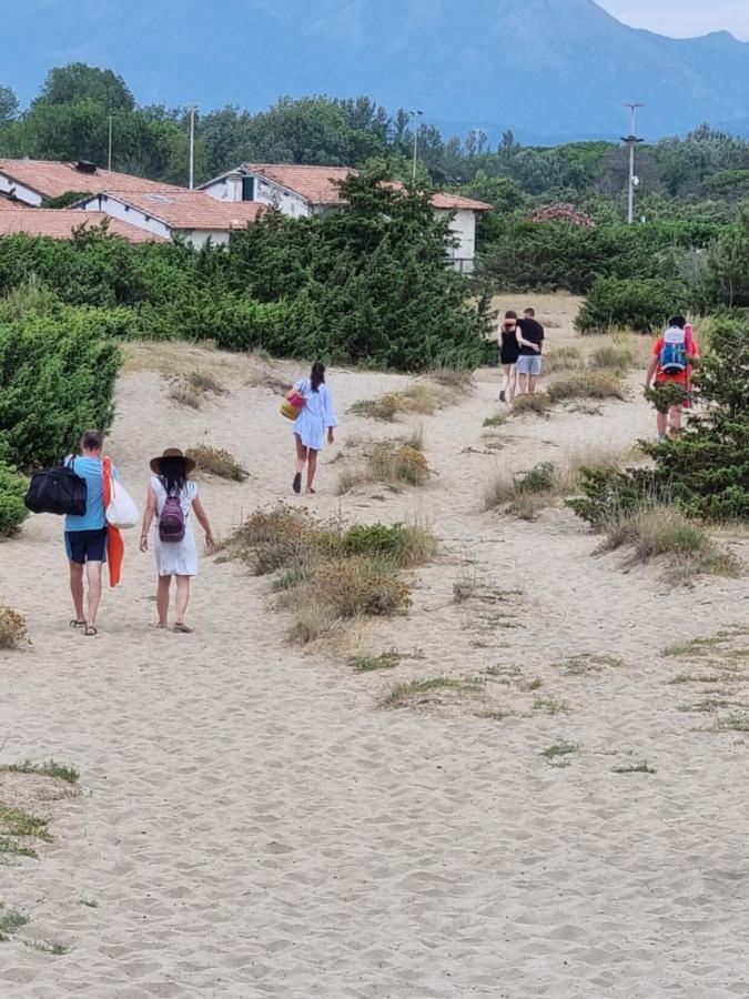 Chalet 4 Or 6 Persons Toscana Viareggio Camping Bosco Verde Italie Torre del Lago Puccini Exterior photo